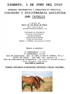 xerrada coaching i psicoteràpia assistida amb cavalls