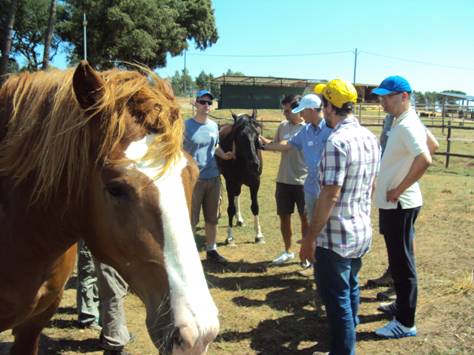 Coaching amb Cavalls a Girona.