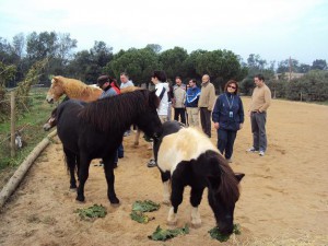 coaching en grupo