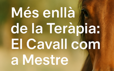 Coaching amb Cavalls
